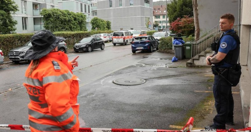 Afbeelding bij Rechtbank veroordeelt man tot 15 jaar cel na steekpartij op drie 5-jarige kinderen in Zürich - pzc.nl