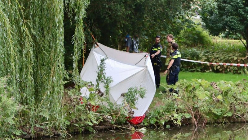 Afbeelding bij 🔴 Haarlemmer (66) overleden na aanrijding met tractor in Hillegom • Vrouw op straat neergestoken in Amsterdam - NH Nieuws
