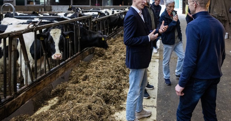 Afbeelding bij Kabinet belooft: geen mes in veestapel als stikstofdoel niet wordt gehaald
