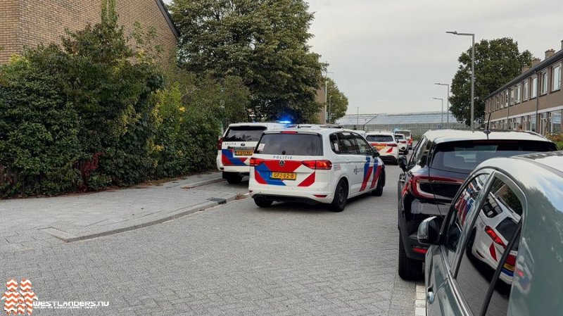 Afbeelding bij Steekpartij aan de Theeboomstraat - Westlanders.nu