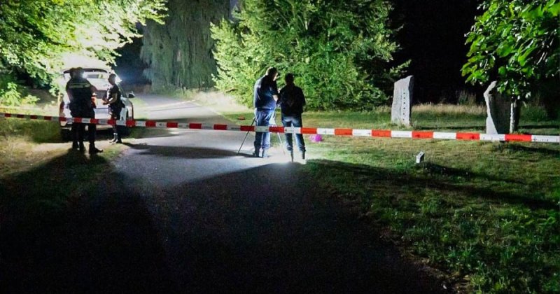 Afbeelding bij Na arrestatie om steekincident in Park Presikhaaf doet politie opmerkelijke getuigenoproep - De Gelderlander