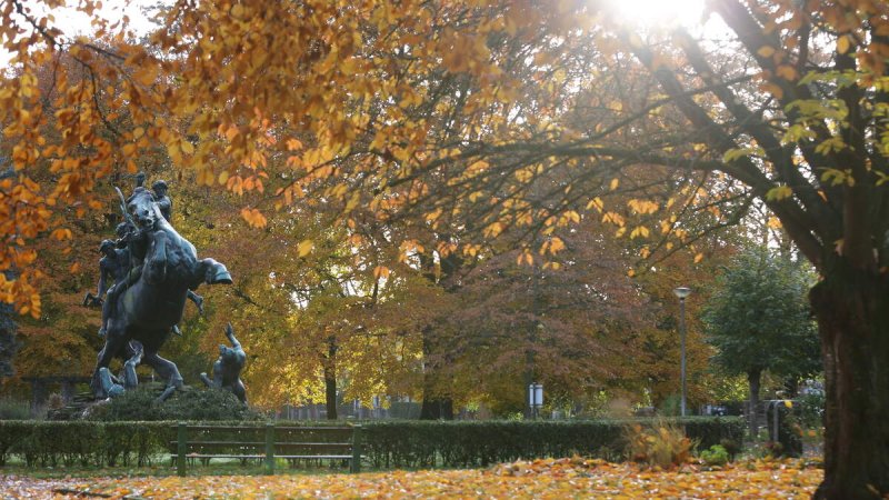 Afbeelding bij Steekpartij in park in Miljoenenkwartier in Gent: slachtoffer in been gestoken - Nieuwsblad