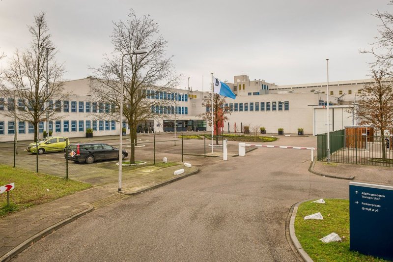Afbeelding bij 'Edgar Davids' neergestoken in de gevangenis - panorama.nl