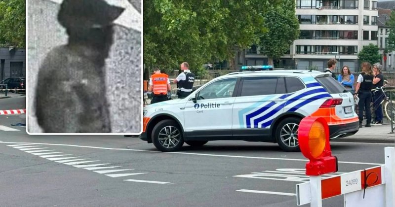 Afbeelding bij Beide verdachten van steekpartij aan Gentse Feesten aangehouden: één in cel, andere onder elektronisch toezicht - HLN