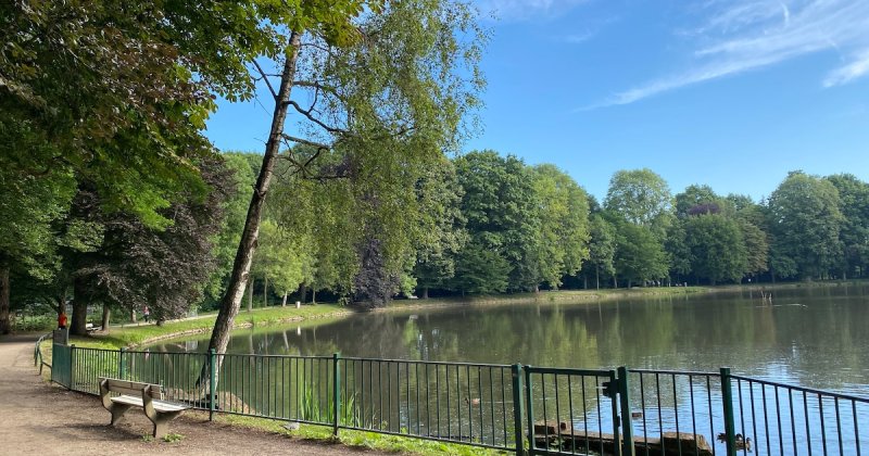 Afbeelding bij 18 maanden cel voor man (40) na gewelddadige steekpartij in stadspark in Turnhout | Foto - HLN