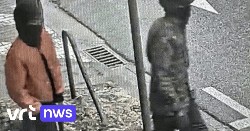 Afbeelding bij Politie verspreidt foto's van verdachten na steekpartij op 19-jarige aan Rodetorenkaai in Gent - VRT