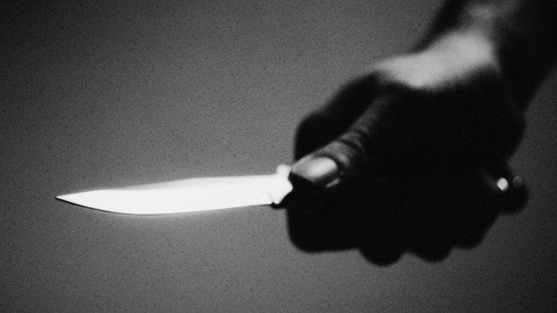 Afbeelding bij Justitie eist taakstraf en voorwaardelijke celstraf tegen vader en zoon na steekpartij in manege Susteren: ‘Deze geweldsexplosie is erg heftig’ - De Limburger