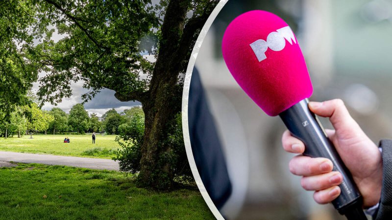 Afbeelding bij Cameraploeg PowNews tijdens reportage bedreigd met mes in Amsterdamse Oosterpark: ’Ik steek je neer, ik steek je neer’ 