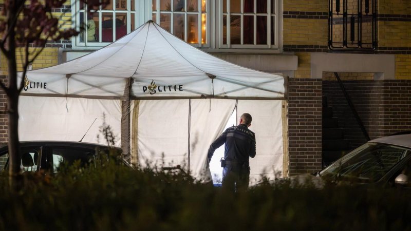 Afbeelding bij Politie houdt tweede verdachte aan in onderzoek dodelijke steekpartij Tugelaweg - NH Nieuws